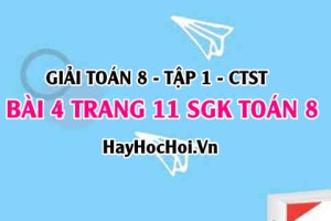 Giải bài 4 trang 11 Toán 8 Tập 1 SGK Chân trời sáng tạo